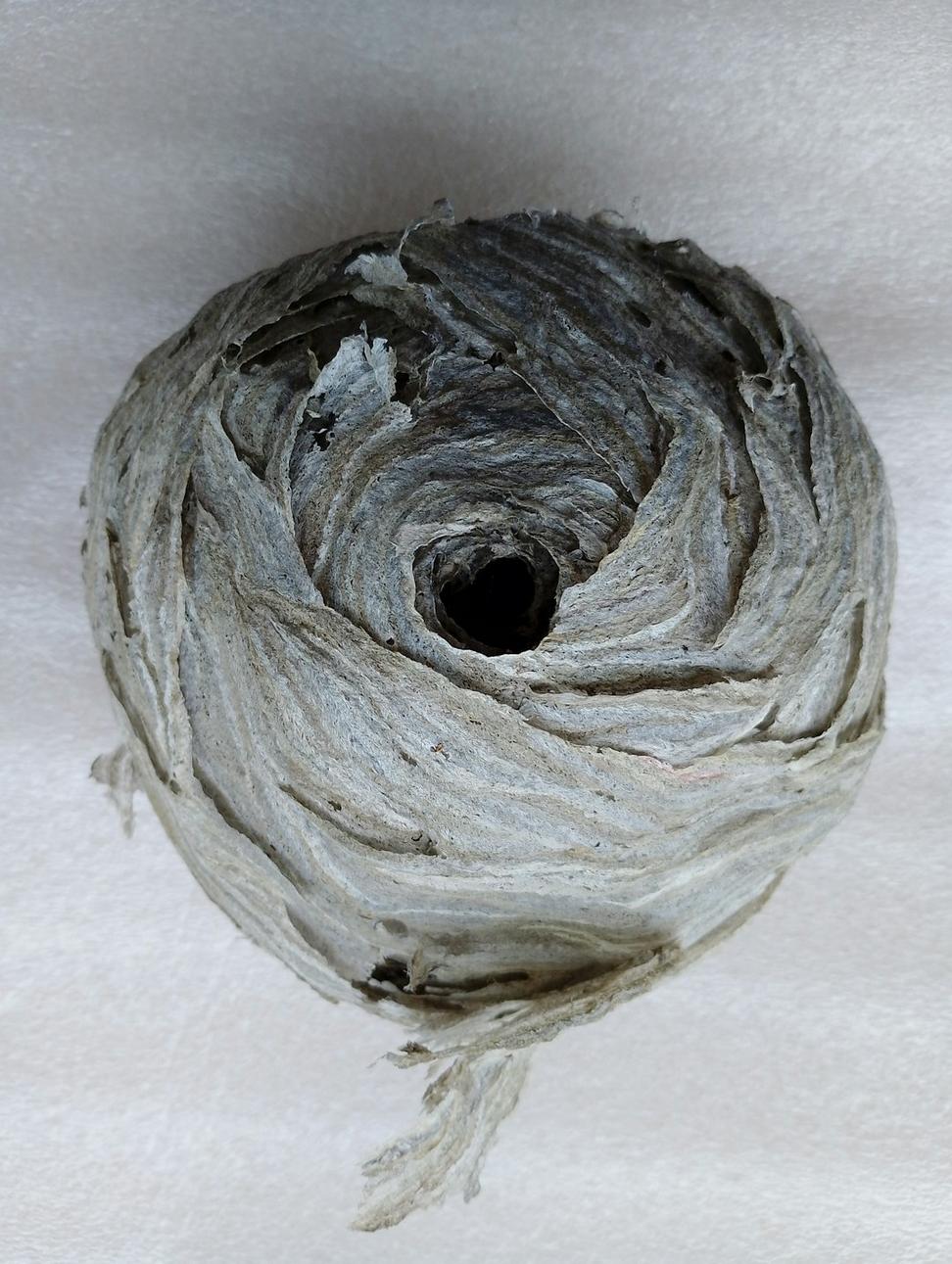 Sustainable Insulation