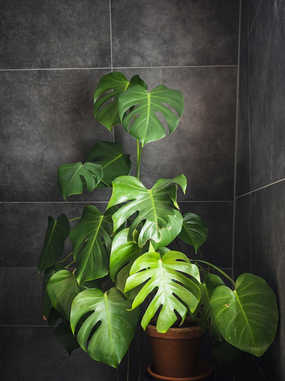 Bathroom design